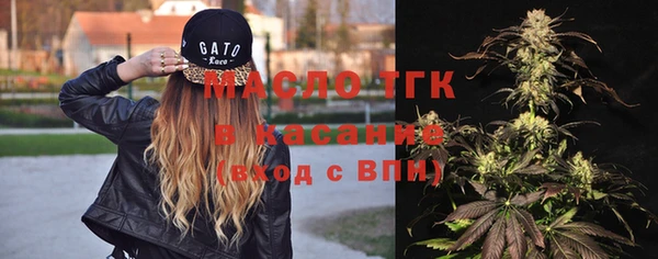 соль ск Елабуга