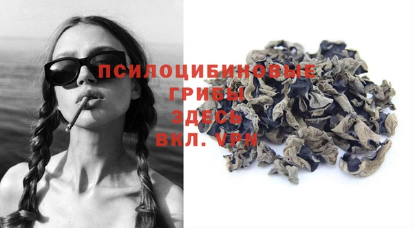 наркотики Бородино